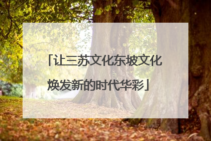 让三苏文化东坡文化焕发新的时代华彩