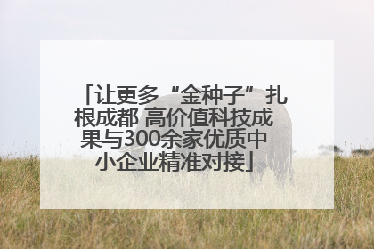让更多“金种子”扎根成都 高价值科技成果与300余家优质中小企业精准对接
