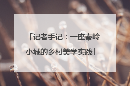 记者手记：一座秦岭小城的乡村美学实践