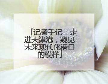 记者手记：走进天津港，窥见未来现代化港口的模样