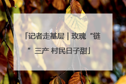 记者走基层｜玫瑰“链”三产 村民日子甜