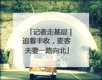 记者走基层｜追着丰收，麦客夫妻一路向北
