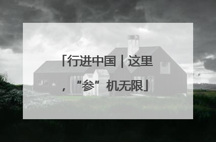 行进中国｜这里，“参”机无限