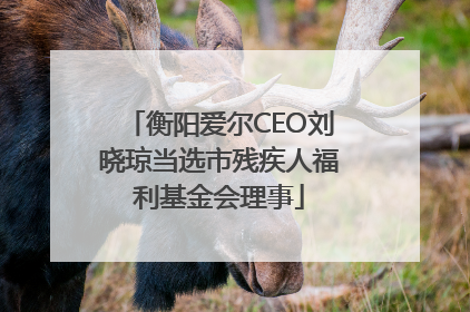 衡阳爱尔CEO刘晓琼当选市残疾人福利基金会理事