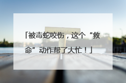 被毒蛇咬伤，这个“救命”动作帮了大忙！