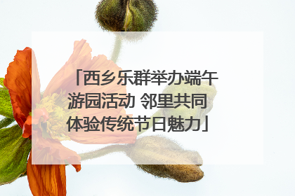 西乡乐群举办端午游园活动 邻里共同体验传统节日魅力