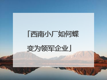 西南小厂如何蝶变为领军企业