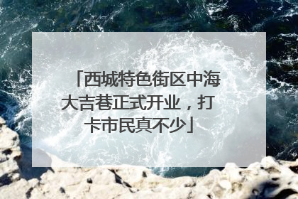 西城特色街区中海大吉巷正式开业，打卡市民真不少
