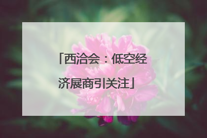 西洽会：低空经济展商引关注