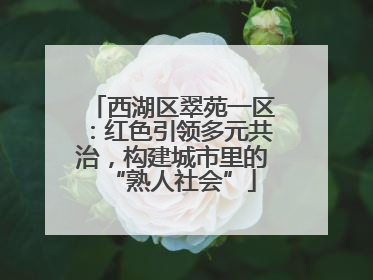 西湖区翠苑一区：红色引领多元共治，构建城市里的“熟人社会”