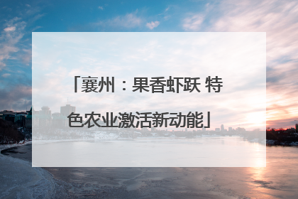 襄州：果香虾跃 特色农业激活新动能