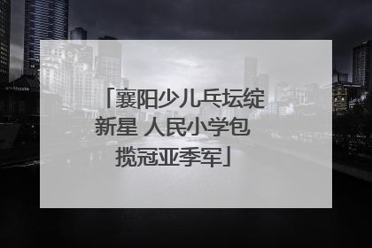 襄阳少儿乓坛绽新星 人民小学包揽冠亚季军