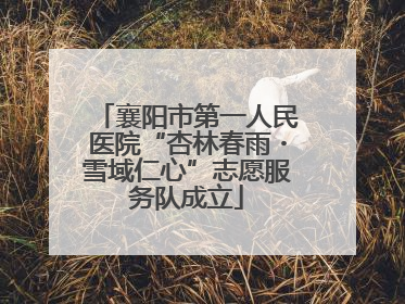 襄阳市第一人民医院“杏林春雨・雪域仁心”志愿服务队成立