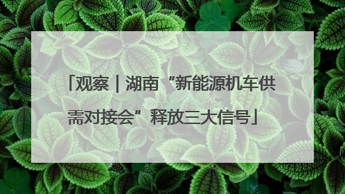 观察｜湖南“新能源机车供需对接会”释放三大信号