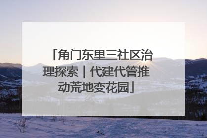 角门东里三社区治理探索｜代建代管推动荒地变花园