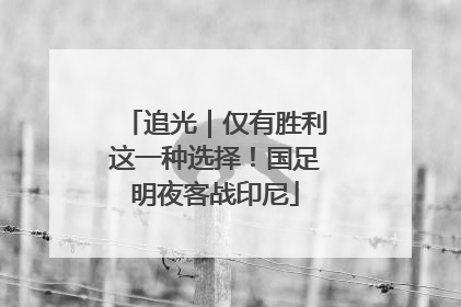 追光｜仅有胜利这一种选择！国足明夜客战印尼