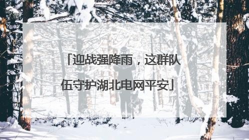 迎战强降雨，这群队伍守护湖北电网平安