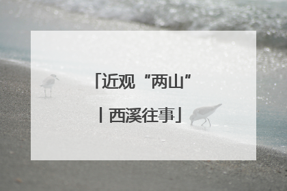 近观“两山”丨西溪往事