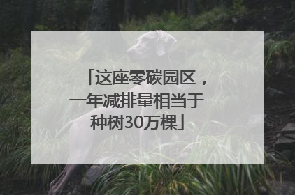 这座零碳园区，一年减排量相当于种树30万棵