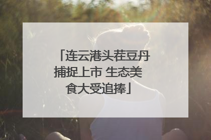 连云港头茬豆丹捕捉上市 生态美食大受追捧