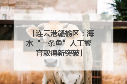 连云港赣榆区：海水“一条鱼”人工繁育取得新突破