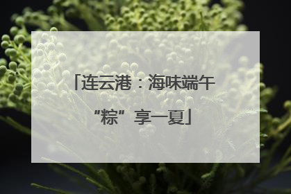 连云港：海味端午 “粽”享一夏
