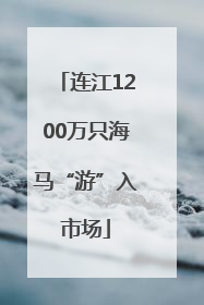 连江1200万只海马“游”入市场