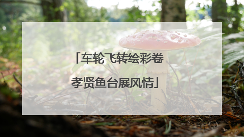 车轮飞转绘彩卷 孝贤鱼台展风情
