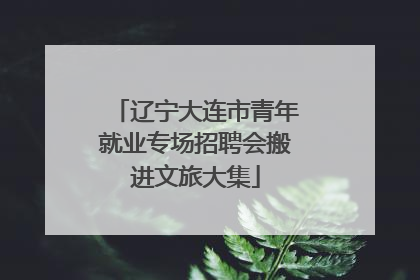 辽宁大连市青年就业专场招聘会搬进文旅大集