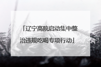 辽宁高院启动集中整治违规吃喝专项行动