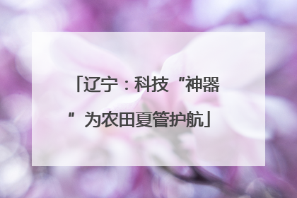 辽宁：科技“神器”为农田夏管护航