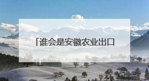谁会是安徽农业出口的下一个NO.1？
