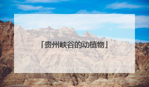 贵州峡谷的动植物
