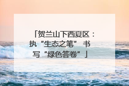 贺兰山下西夏区：执“生态之笔” 书写“绿色答卷”