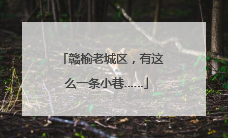 赣榆老城区，有这么一条小巷……