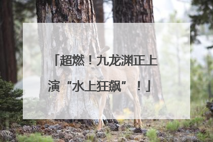 超燃！九龙渊正上演“水上狂飙”！