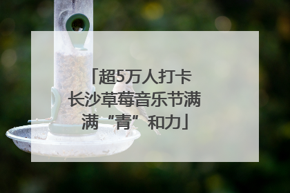 超5万人打卡 长沙草莓音乐节满满“青”和力