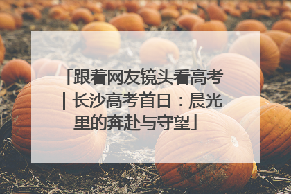 跟着网友镜头看高考｜长沙高考首日：晨光里的奔赴与守望