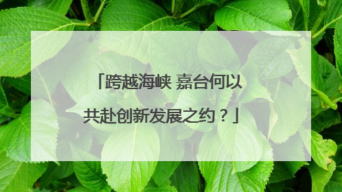 跨越海峡 嘉台何以共赴创新发展之约？