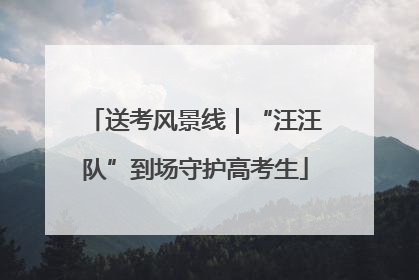 送考风景线｜“汪汪队”到场守护高考生
