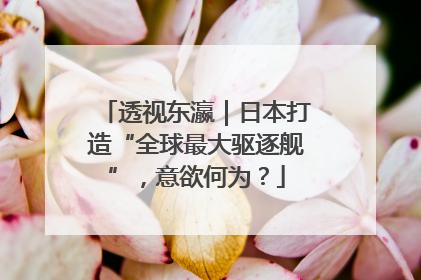 透视东瀛｜日本打造“全球最大驱逐舰”，意欲何为？