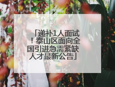 递补1人面试！泰山区面向全国引进急需紧缺人才最新公告
