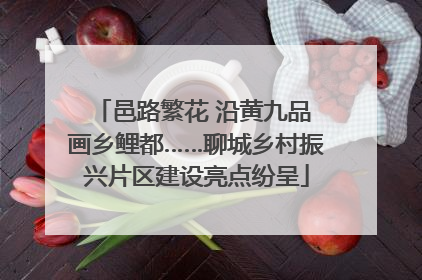 邑路繁花 沿黄九品 画乡鲤都……聊城乡村振兴片区建设亮点纷呈