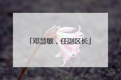 邓慧敏，任副区长