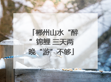 郴州山水“醉”锦鲤 三天两晚“游”不够