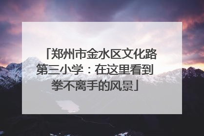 郑州市金水区文化路第三小学：在这里看到拳不离手的风景