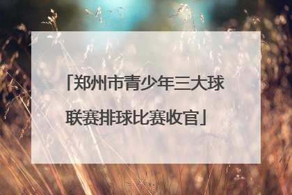 郑州市青少年三大球联赛排球比赛收官