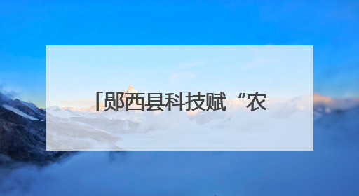 郧西县科技赋“农”“智”绘新画卷