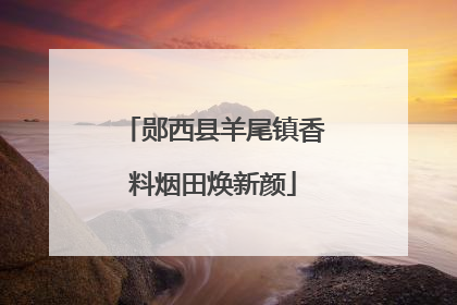 郧西县羊尾镇香料烟田焕新颜