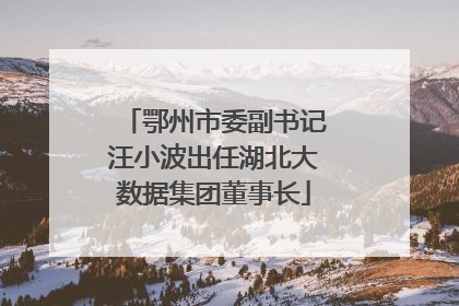 鄂州市委副书记汪小波出任湖北大数据集团董事长